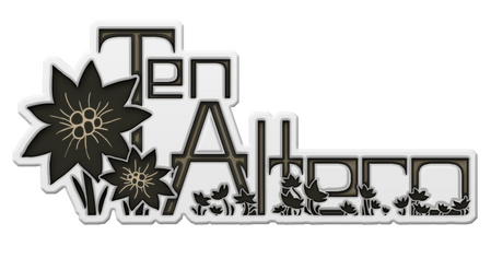 Logo made by xSeeli3x